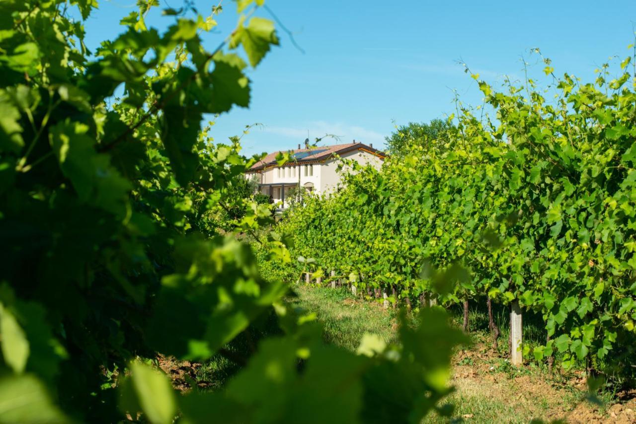 Вілла Relais La Dolce Vite San Vendemiano Екстер'єр фото